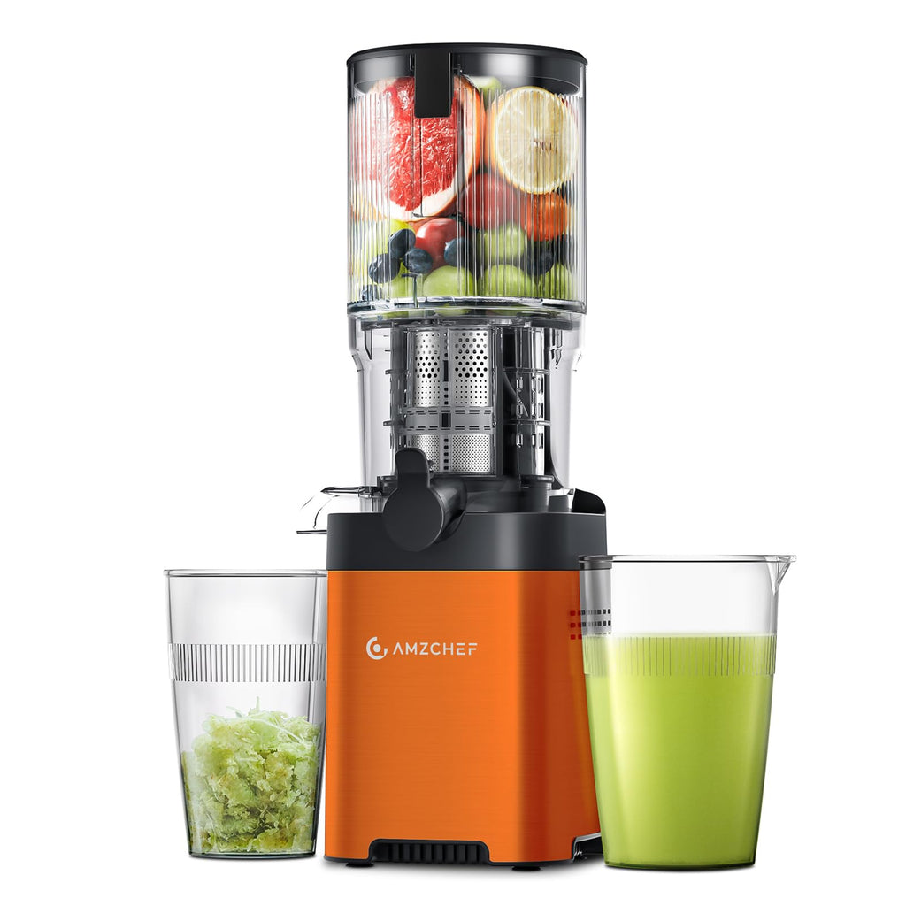 AMZCHEF Entsafter Slow Juicer 136 mm – Saftpresse Elektrisch für Gemüse & Obst – Cold Press Juicer mit 2 Filtern – Leise & Leicht zu Reinigen - Silber